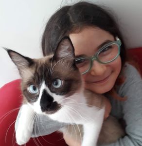 Vaquinha Online - Miauventura pela Itália!