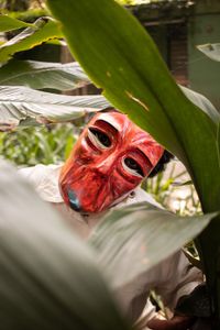 A REvolução das 30+ imagem 9