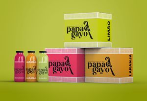 Crowdfunding - Alimentação Saudável - Microempresa Smoothies