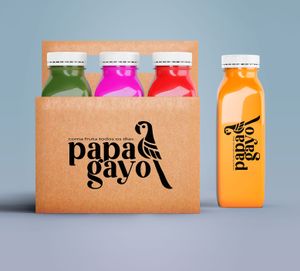Microempresa Smoothies - Alimentação Saudável - Microempresa Smoothies