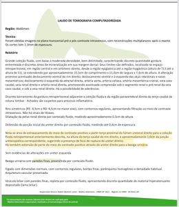 Justiça pela Guito - Justiça pela Guito, gatinha que perdeu um rim  