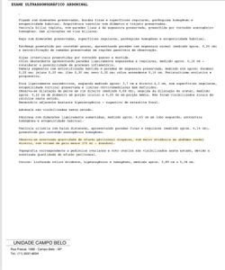 São Paulo/SP - Justiça pela Guito, gatinha que perdeu um rim  