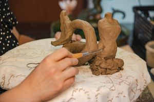 Financiamento Coletivo - Impulsionando Turina