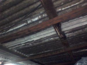 Daniel - Ajudar o bebê Daniel e sua família a voltarem para sua 