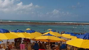 Vaquinha Online - A Volta