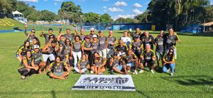 Resenha final de ano - 2025 - resenhadefinaldoano