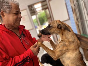 Jaboatão dos Guararapes/PE - AJUDE O ABRIGO DO SEU ALBERTO A REFORMAR O PISO!