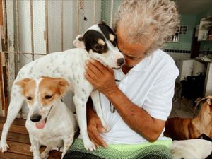 Financiamento Coletivo - AJUDE O ABRIGO DO SEU ALBERTO A REFORMAR O PISO!