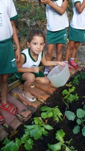 Campanha do Telhado Grupo Alegria - Campanha do Telhado grupo Alegria
