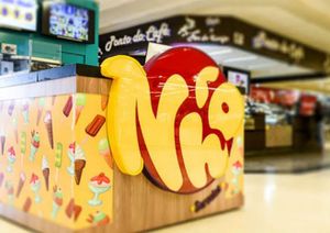 Financiamento Coletivo - Ajuda para Iniciar uma Franquia Nho Sorvetes