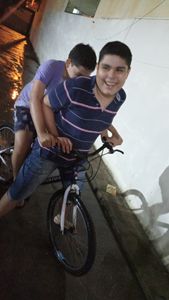 Concerto do carro Trio de Autista imagem 6