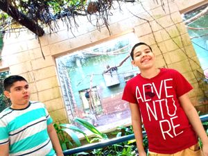 Causas e Comunidade - Concerto do carro Trio de Autista