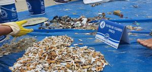 INSTITUTO ECOSURF - IE - ECOSURF - SEJA PARTE DA SOLUÇÃO