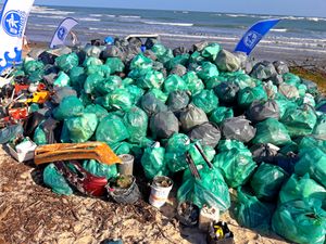 ECOSURF - SEJA PARTE DA SOLUÇÃO imagem 8