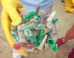 ECOSURF - SEJA PARTE DA SOLUÇÃO imagem 7