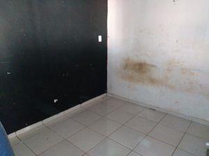 null - Abrir uma sorveteira 