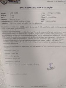 Ajude salvar a vida do meu pet - Ajude salvar a vida do meu pet