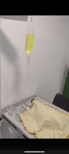 Animais - Ajude salvar a vida do meu pet