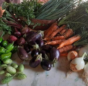 Vaquinha - Agricultura Familiar na Exposição agropecuária de Bela Vista de Goiás