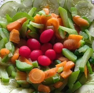 AFABEV - Agricultura Familiar na Exposição agropecuária de Bela Vista de Goiás