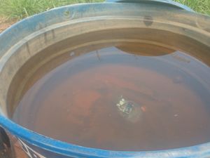 Vaquinha Online - poço artesiano