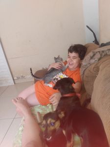 Campanha ajude a Pri  - Ajude os pets resgatados 