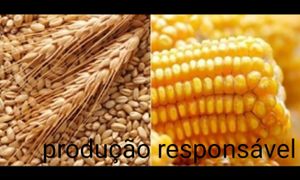 Financiamento Coletivo - Por um agronegócio cada vez mais sustentável