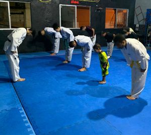 Financiamento Coletivo - Equipe Panteras Negras Taekwondo: Evoluindo atletas com vc!