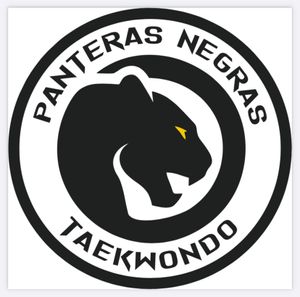A equipe Panteras Negras Taekwondo precisa do seu apoio! - Equipe Panteras Negras Taekwondo: Evoluindo atletas com vc!