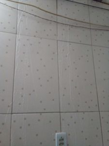 Rio de Janeiro/RJ - Andressa e João pede ajuda para reforma sua casa.