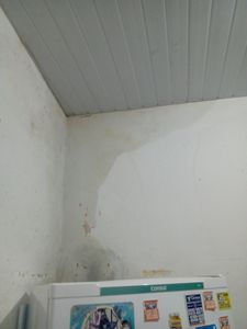 Andressa e João pede ajuda para reforma sua casa. imagem 9