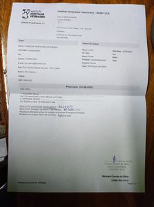 Animais - Ajude no tratamento da Leidi