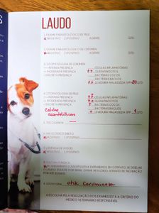 Ajude no tratamento da Leidi imagem 9