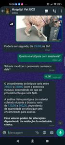 Ajude no tratamento da Leidi imagem 6