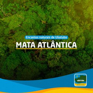 Instituto Ubatuba Santuário Ecológico - Junte-se a Nós para Cultivar Esportes e Preservar a Natureza !