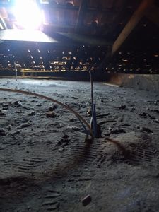 Reforma emergencial na sede do CALQ imagem 8