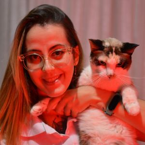 Ajuda com meus nenens Felinos - Ajudar gatinhos resgatados