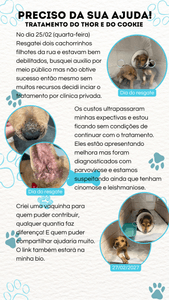 Tratamento do Thor e Cookie