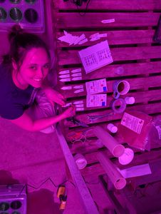 Adote um Tomate Marciano / Receba uma Mensagem Direto de Marte!