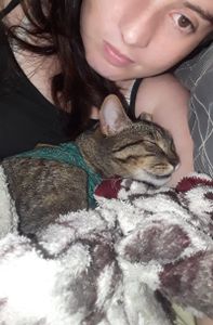 Brasília/DF - Fraldinha precisa da sua ajuda! 