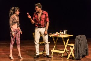 Crowdfunding - DESAMOR, de Walcyr Carrasco no Rio