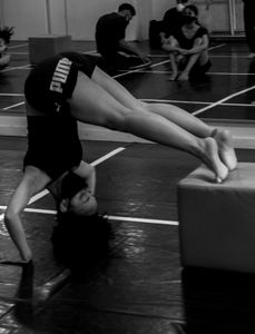 Belo Horizonte/MG - ESTREIA: Bicho no Concreto