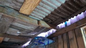 Vamos ajudar a Josi e o Bruno! imagem 8