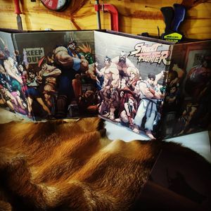 Financiamento Coletivo - Impressao SF 20 anos