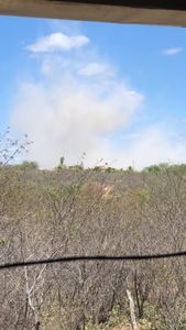 Meio ambiente - Secaviva