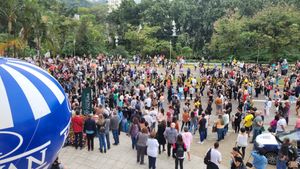 dancetv no festival - DANCETV NO FESTIVAL