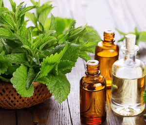 Vaquinha Online - Óleos vegetais amazônia 