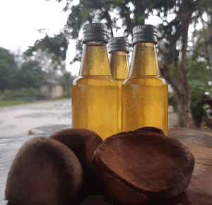 Capacitação e aquisição prensa para extração de óleo vegetal  - Óleos vegetais amazônia 