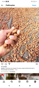 Financiamento Coletivo - Óleos vegetais amazônia 