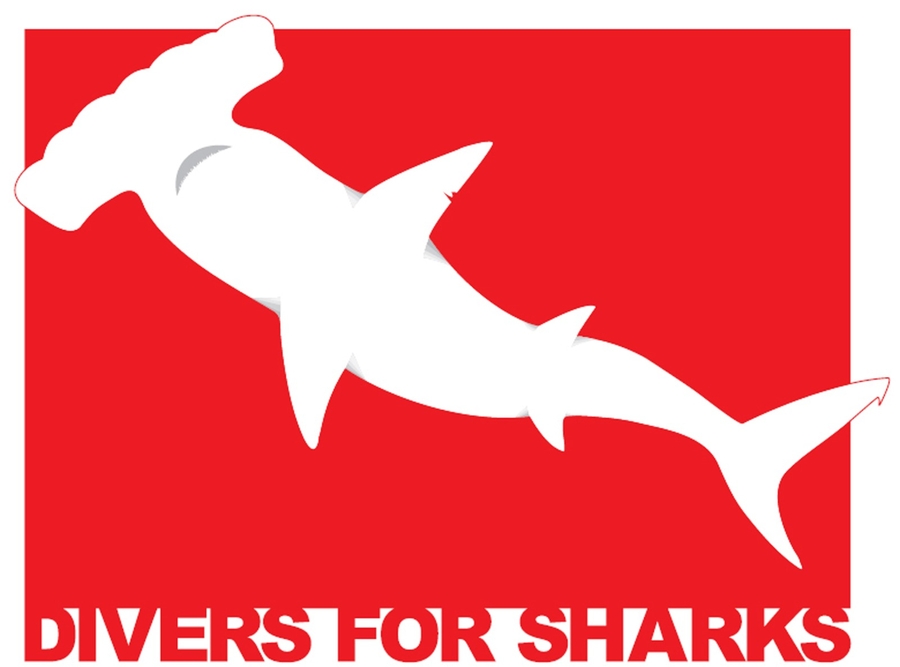 Campanha Divers for Sharks precisa de novo notebook porque o atual quebrou